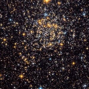 Meet your Posher, Niklas